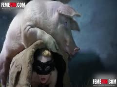 A sexy harlot lets a pig fuck her in the barn as she explores her wild side.